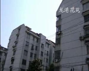 龍港花苑 龍港花苑