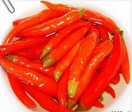四川泡辣椒 四川泡辣椒
