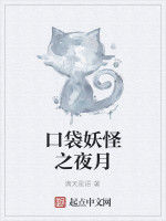 口袋妖怪之夜月 口袋妖怪之夜月