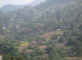 白岩行政村 白岩行政村