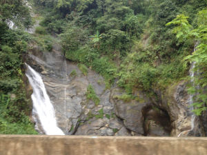 哀牢山自然風景保護區 哀牢山自然風景保護區