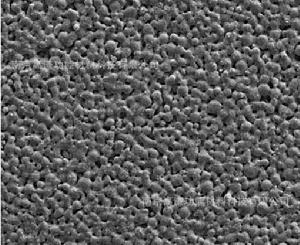 多孔膜處理 多孔膜處理