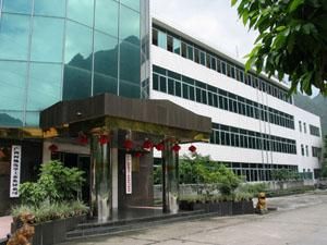 河池化工 河池化工