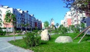 康張華村 康張華村