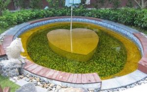 太陽河溫泉 太陽河溫泉