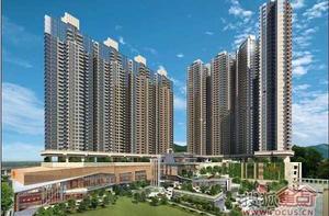 龍華花半里 龍華花半里