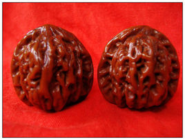 工藝核桃譜 工藝核桃譜