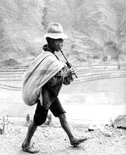 沃納&middot;比肖夫作品