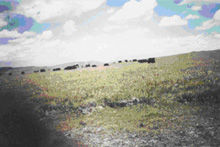 智後茂村 智後茂村