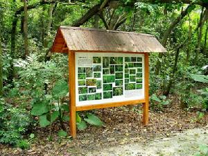 蒲崗自然教育徑（科普知識牌）