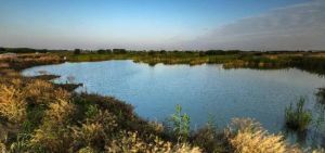 同里國家濕地公園 同里國家濕地公園