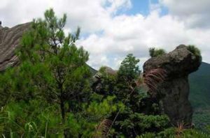 天馬秋聲 天馬秋聲