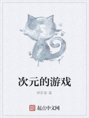 次元的遊戲 次元的遊戲