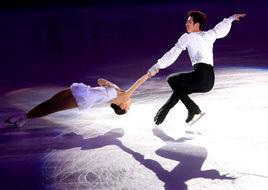 世界花樣滑冰大獎賽 世界花樣滑冰大獎賽