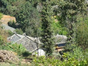 老傘自然村 老傘自然村