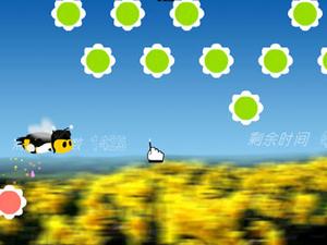 花叢中的指揮家