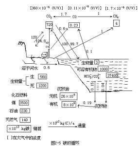總無機碳 總無機碳