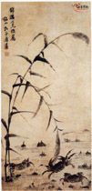 蘆葦蟹圖 蘆葦蟹圖