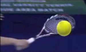 飛燕還巢 飛燕還巢