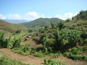 鄧家村自然村 鄧家村自然村