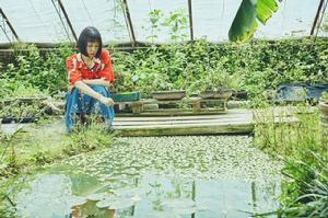 點心[謝春花2018年音樂專輯]