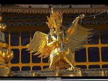 迦陵頻伽[佛教辭彙]