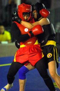 第二屆世界青少年武術錦標賽 第二屆世界青少年武術錦標賽