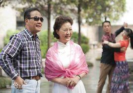 你是我的風景[張蠡主演電影]