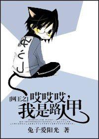 網王之哎哎哎，我是路人甲