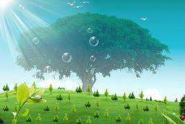 大樹和小草 大樹和小草