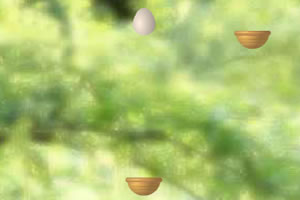 蛋蛋向上沖 蛋蛋向上沖