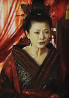 母儀天下[2008年黃健中執導電視劇]