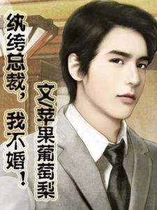 紈絝總裁我不婚 紈絝總裁我不婚
