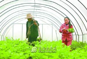 六角亭街道[湖北恩施州恩施市下轄街道]