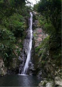 贛江源國家級自然保護區 贛江源國家級自然保護區