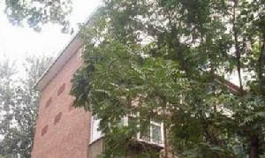 青南小區 青南小區