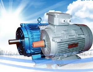 大連恆升電機有限公司