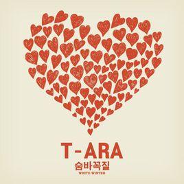 T-ara Winter T-ara Winter