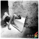 法蘭克斯卡·伍德曼 法蘭克斯卡·伍德曼