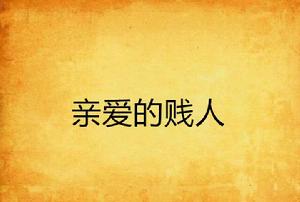 親愛的賤人 親愛的賤人