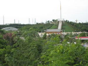 城市中的森林公園