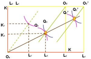 羅伯津斯基定理