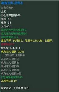 魂殤逆風·血鋒 魂殤逆風·血鋒