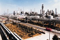 揚子石油化工公司 揚子石油化工公司