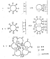 靶敏感脂質體 靶敏感脂質體