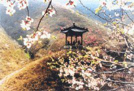 碧霞山風景區 碧霞山風景區