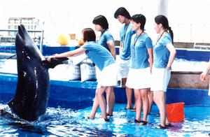 《海洋館的約會》