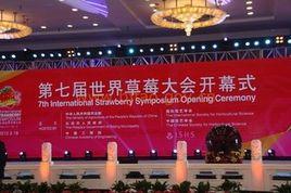 昌平第七屆國際草莓節 昌平第七屆國際草莓節
