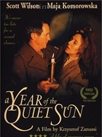 寂靜太陽年 寂靜太陽年