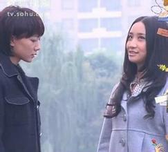 杜拉拉升職記[2012年網路劇]